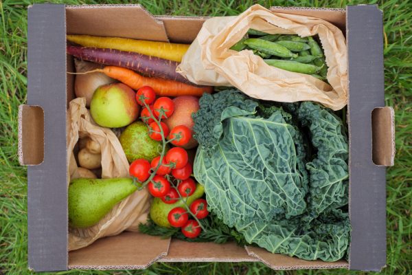 Standard Fruit & Veg Box