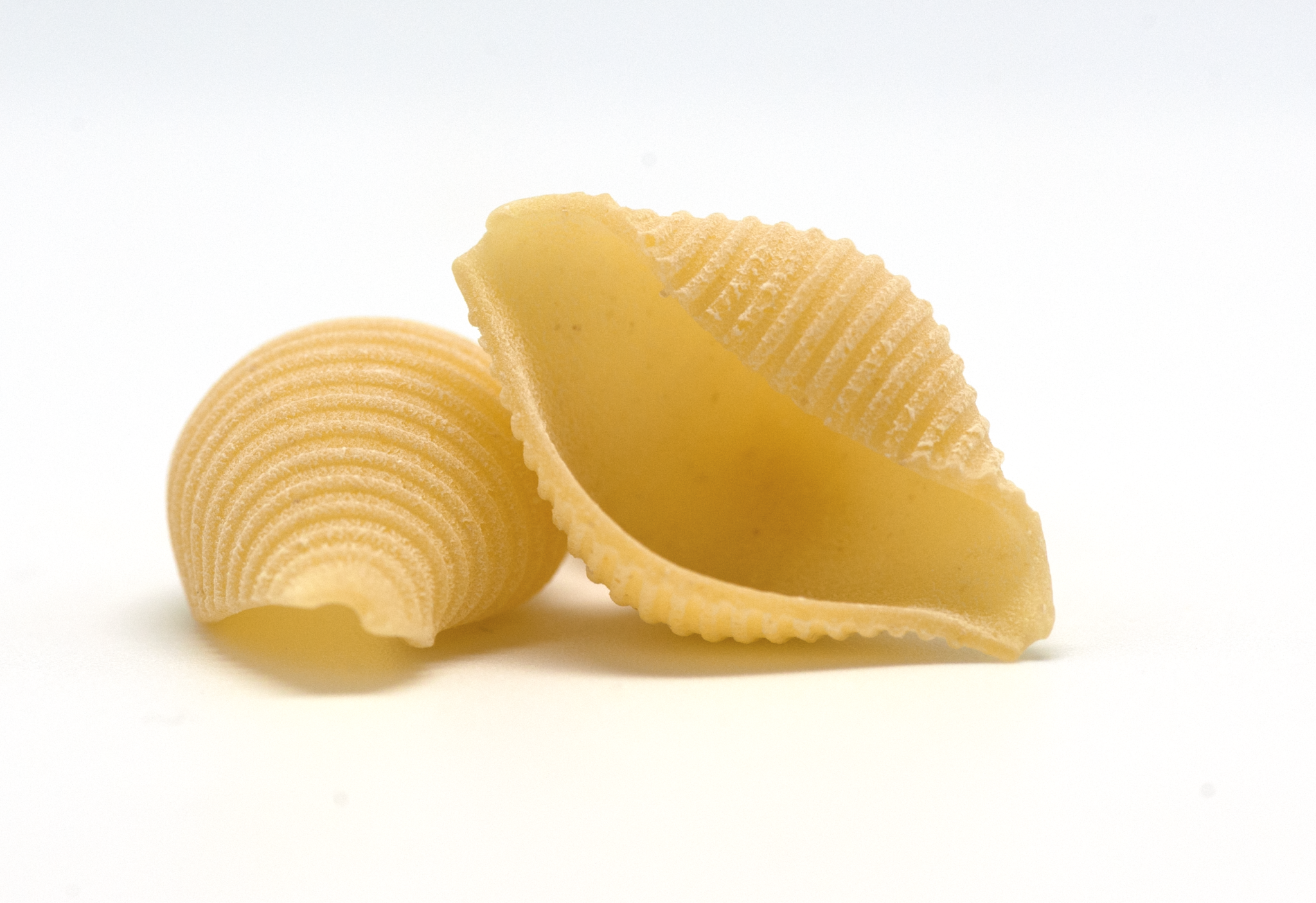 Conchiglie Pasta Shells Loose – Bitterne Box Co
