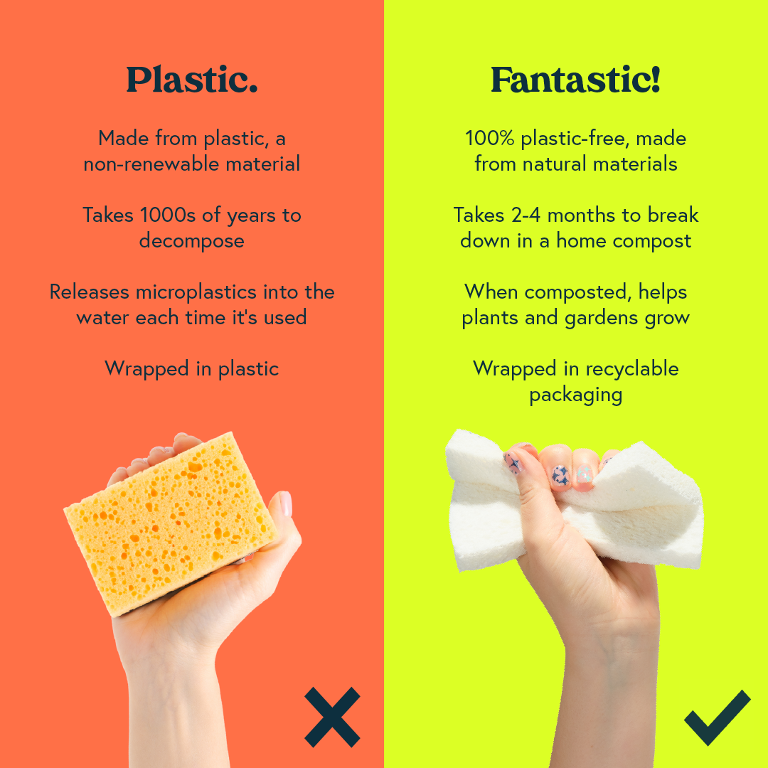 Eco Pop-Up Sponges (2 sponges) - Image 4